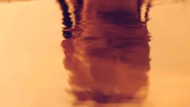 5148481.jpg