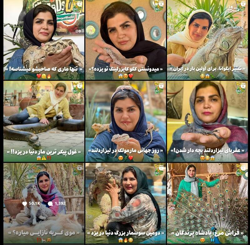 پای حیوانات وحشی به خانه انسان‌ها باز شد؟
