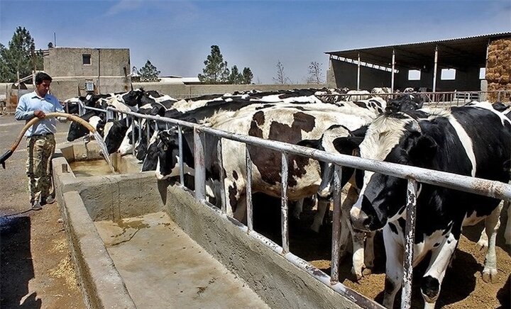 جهش تولید با مشارکت تولیدکنندگان خراسان شمالی