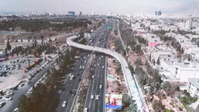 5149128.jpg