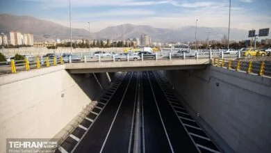 5159330.jpg