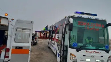 5306585.jpg