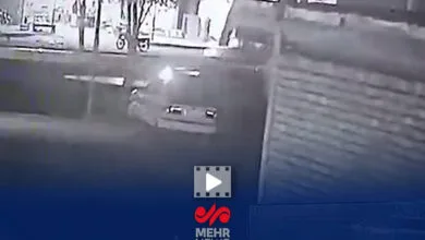 5403757.jpg