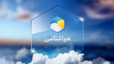 همگام تجارت