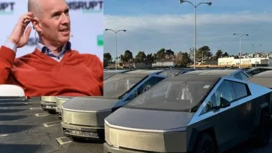 63377986.jpg
