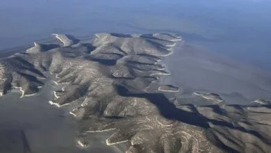 همگام تجارت