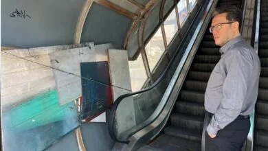 5167892.jpg