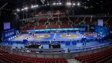 5427395.jpg
